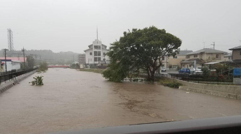 千葉･高崎川が氾濫?佐倉駅が冠水し被害がヤバい!現地の画像や様子 | うさぎ好き主婦 ウサ子の日常